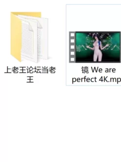 [自行打包] VAM天使没翅膀：镜 清纯We are perfect [1+1.6G][百度盘]